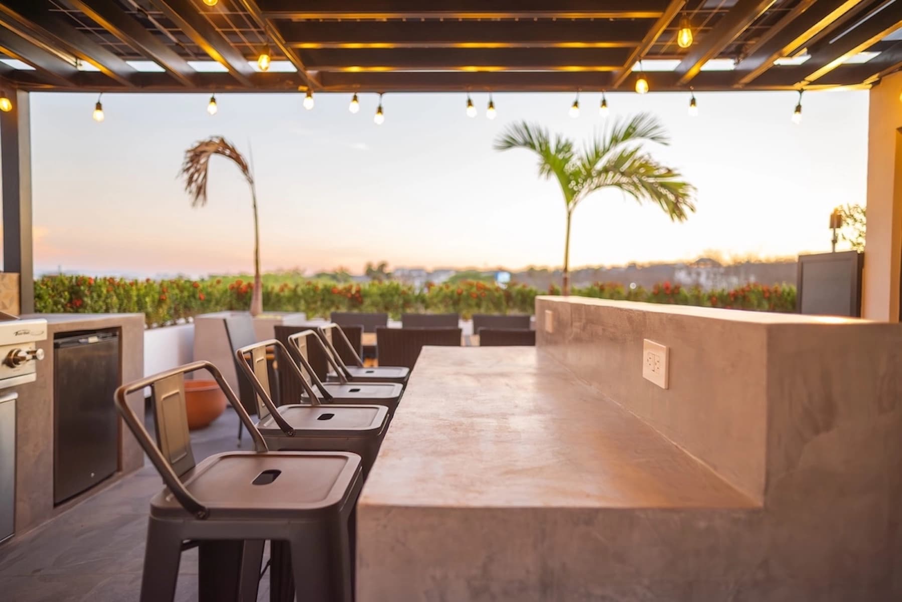 FLAMINGOS gallery 11