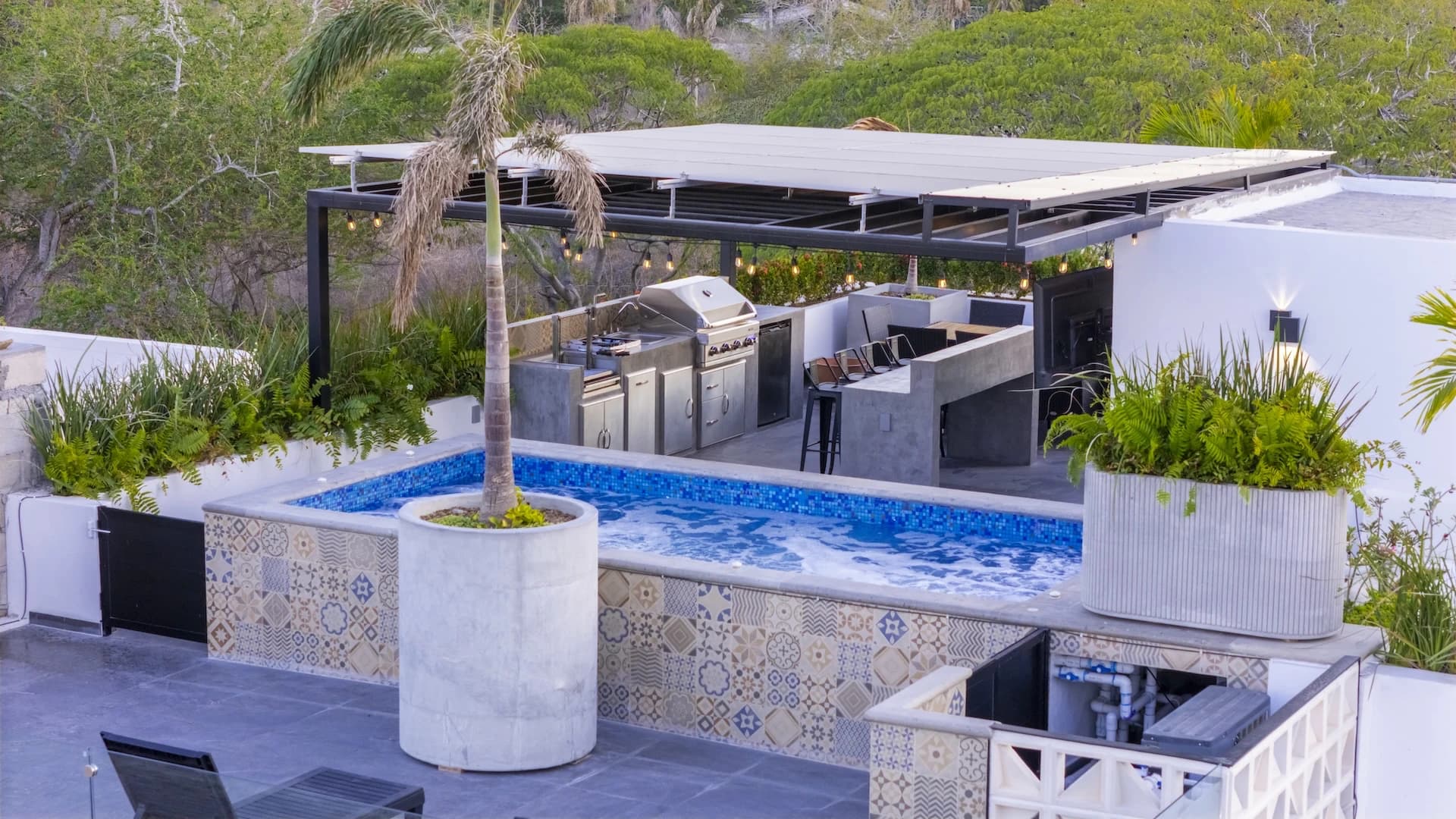 FLAMINGOS gallery 12